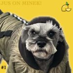 Mix Poolik?